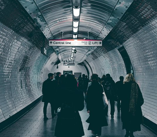 unsplash_95GgovOKgSU